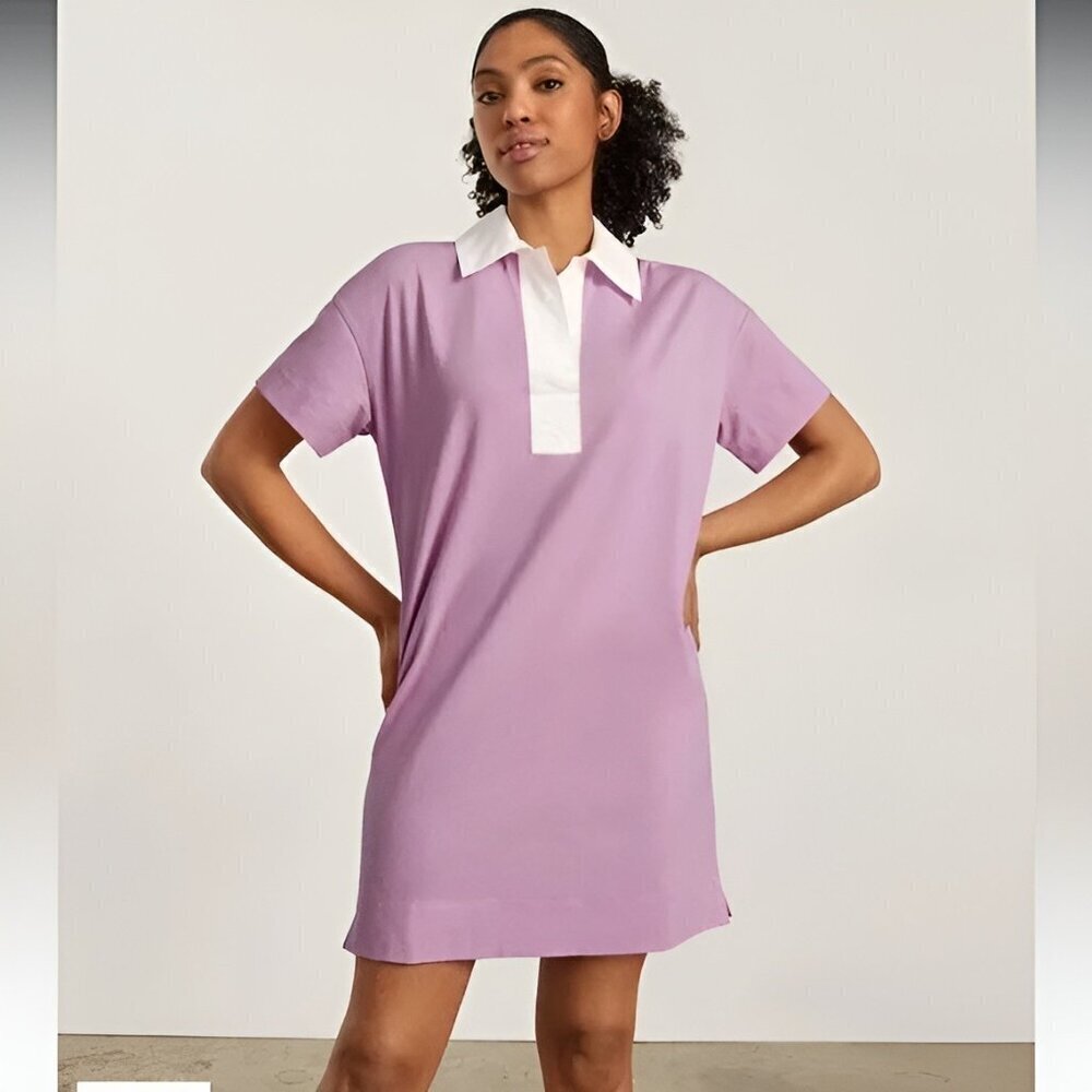 Everlane Polo Dress Organic Cotton Preppy Tenniscore XS Pink/White